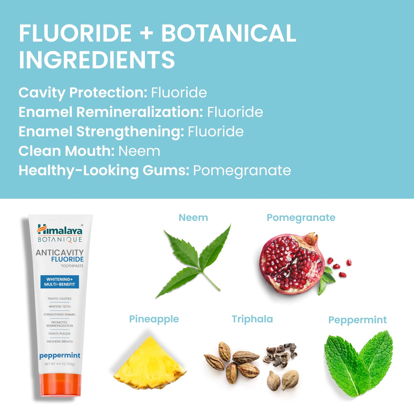 Himalaya Botanique Anticavity Fluoride Toothpaste - Enamel Strength & Remineralization (4 oz)