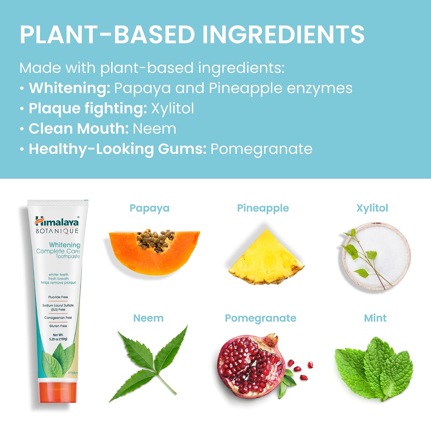 Himalaya Botanique Complete Care Whitening Toothpaste – Simply Mint, 5.29 oz