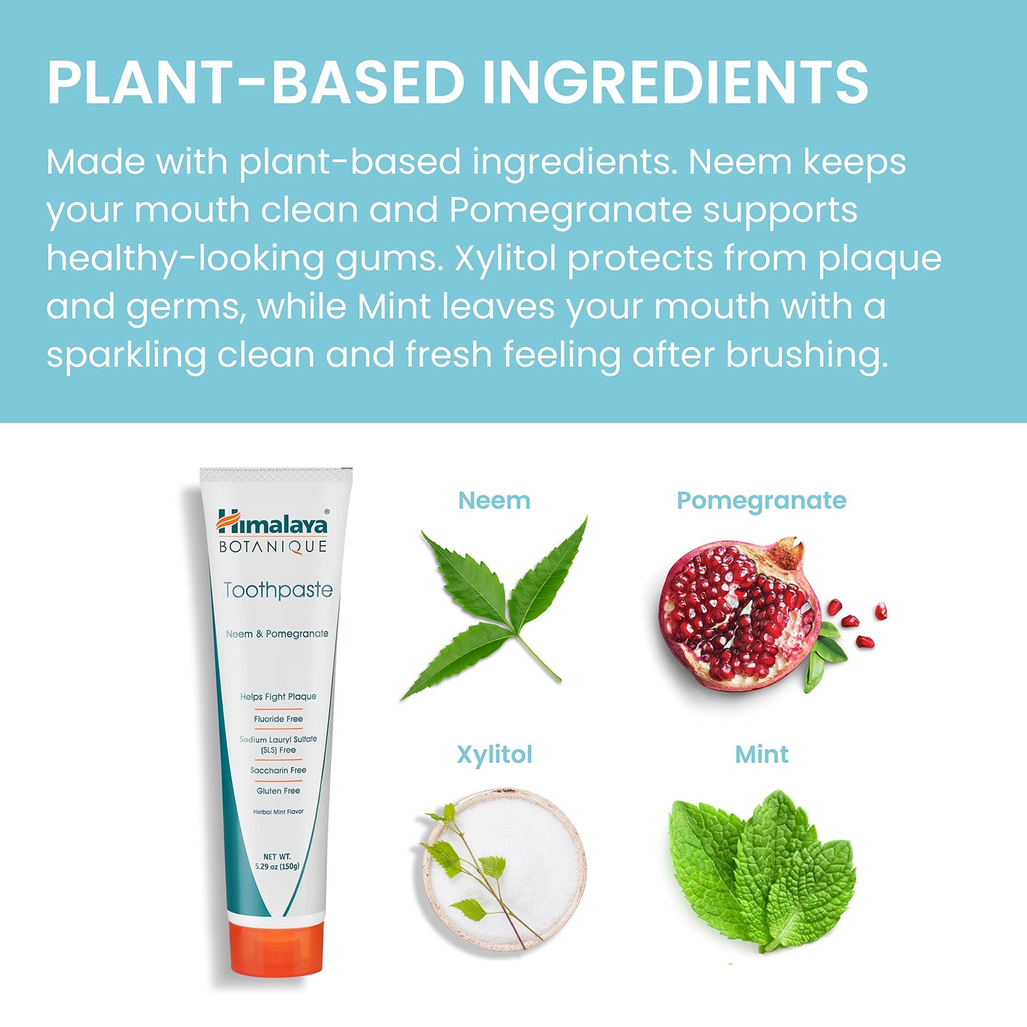 Himalaya Botanique Neem & Pomegranate Toothpaste — Fluoride Free, SLS Free, Vegan, Cruelty Free, Mint Flavor, 5.29 oz, 4 Pack