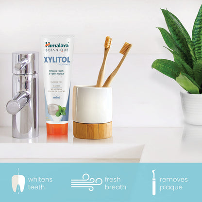Himalaya Botanique Xylitol Toothpaste - Mint, Fluoride Free, Vegan & Gluten Free | 4 oz