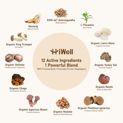 HiWell 12-in-1 Mushroom Coffee - Organic Ginseng, Lion's Mane, Low Caffeine