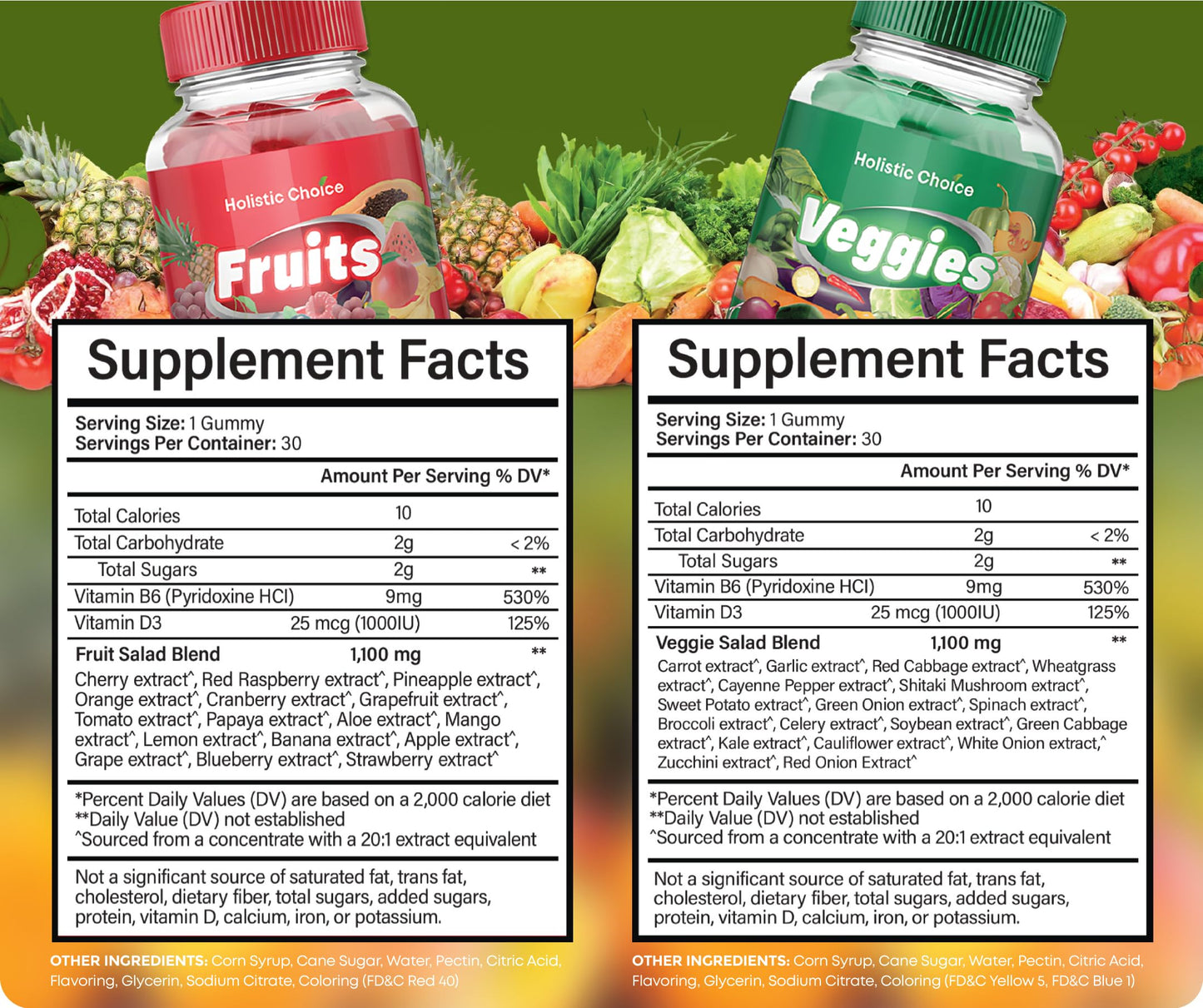 Holistic Choice Fruits & Veggies Gummies - Dual Pack Vitamin Gummies for Adults & Kids | Made in USA