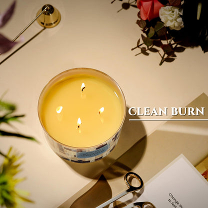 HomeLights Blueberry Cheesecake 4-Wick Soy Candle – Rustic Modern Decor