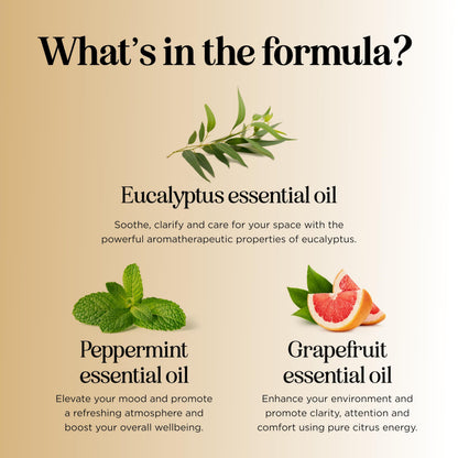 Focus Essential Oil Blend for Diffusers – Energizing Aromatherapy (Grapefruit, Bergamot, Peppermint & Eucalyptus) 2 oz
