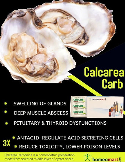 Homeomart Calcarea Carbonica Homeopathy Pellets 200C Potency — Pack of 3