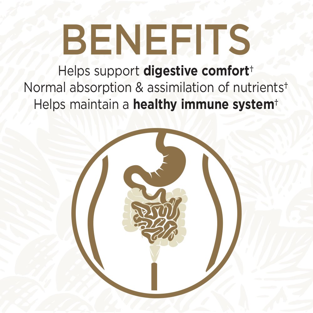 Garden of Life Primal Defense Ultra Probiotics – 15B CFU, 13 Strains + HSO, Vegetarian & Gluten Free, 216 Capsules