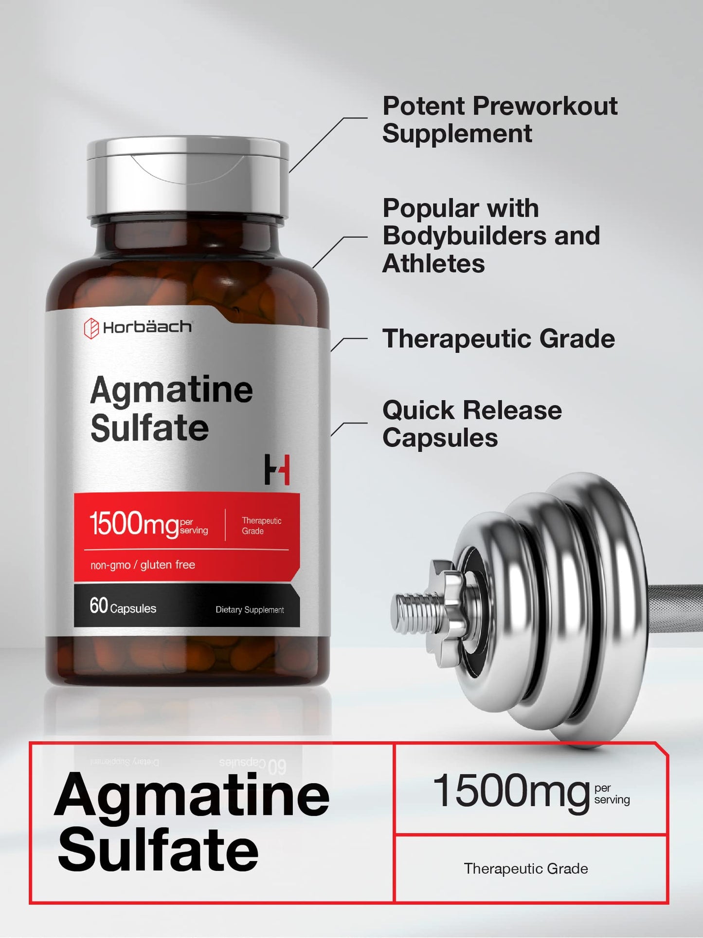 Horbäach Agmatine Sulfate Capsules 1500mg | 60 Count | Pharmaceutical Grade | Non-GMO, Gluten Free