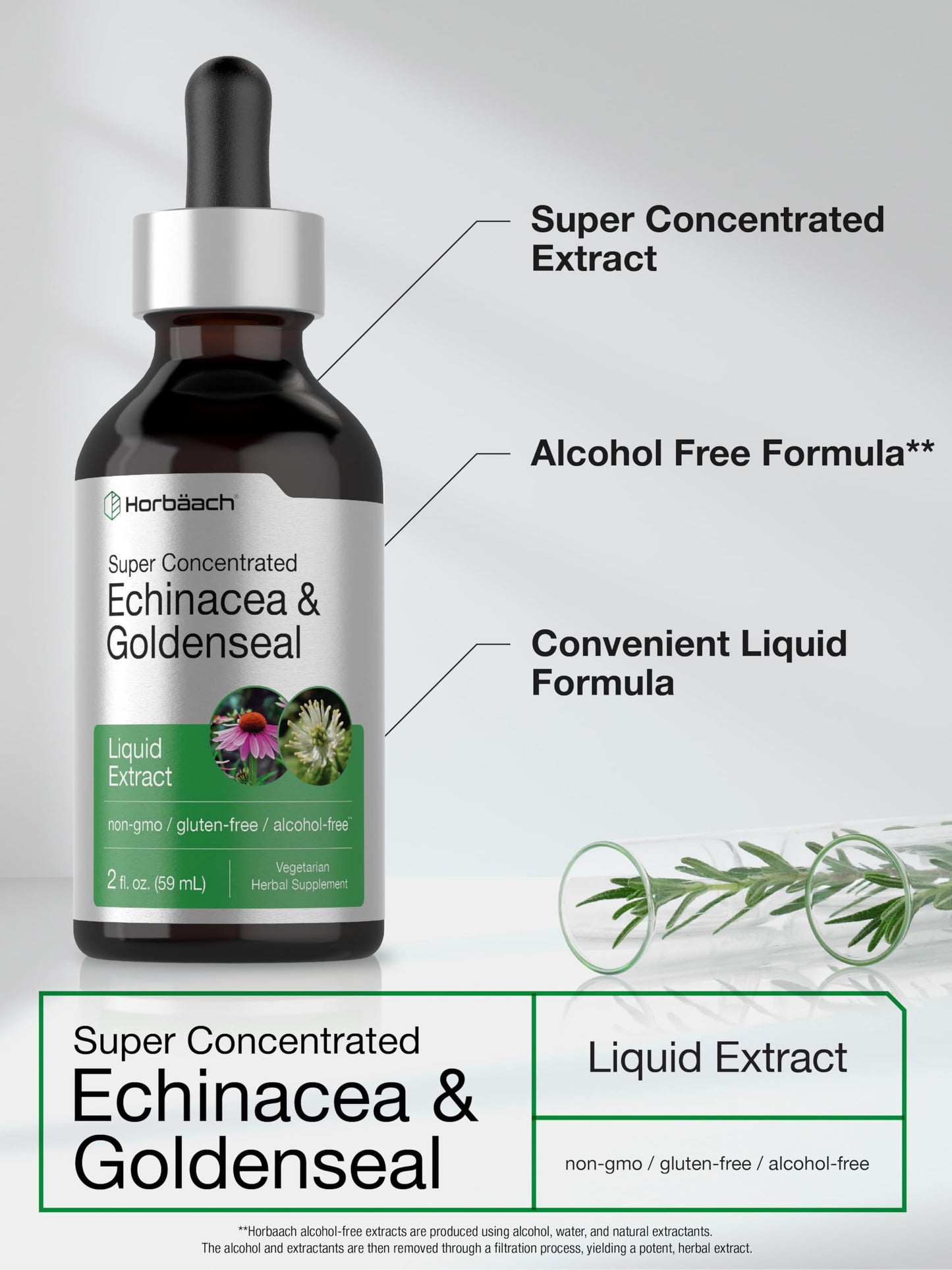 Horbaach Echinacea Goldenseal Liquid Tincture Drops – 2 oz, Alcohol-Free, Vegetarian & Non-GMO