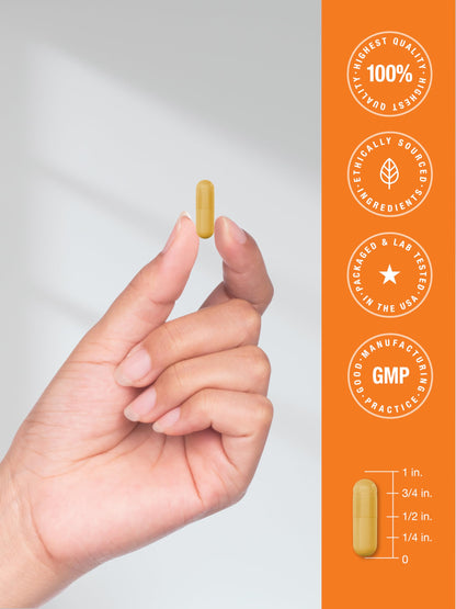 Horbäach B-100 Complex Vitamin – 60 Capsules | Non-GMO & Gluten Free