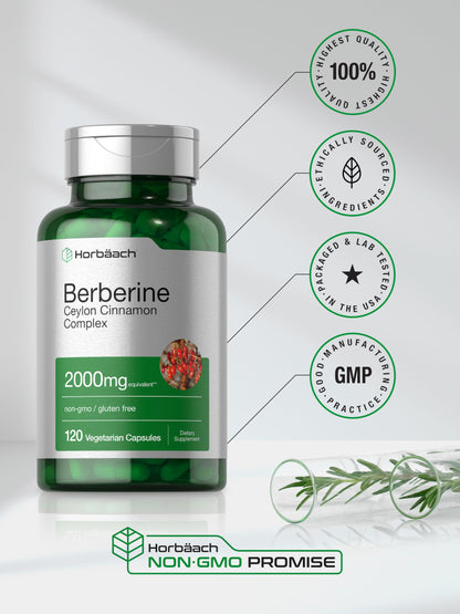Horbäach Berberine with Ceylon Cinnamon – 2000mg, 120 Veggie Capsules (Pack of 2) | Vegetarian, Non-GMO & Gluten Free