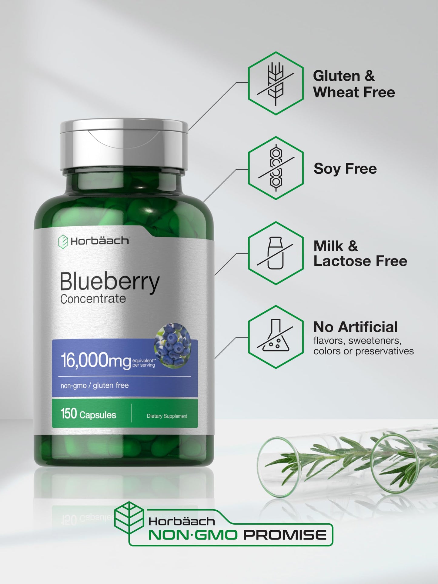 Horbäach Blueberry Extract – Capsules, Non-GMO & Gluten Free