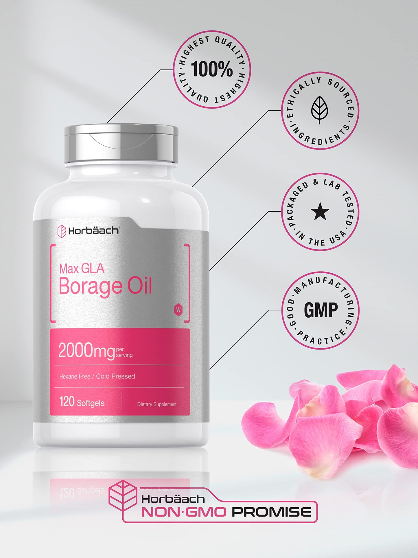 Horbäach Borage Oil Capsules 2000 mg | 120 Softgels | 320 mg GLA | Cold Pressed Seed Oil Supplement