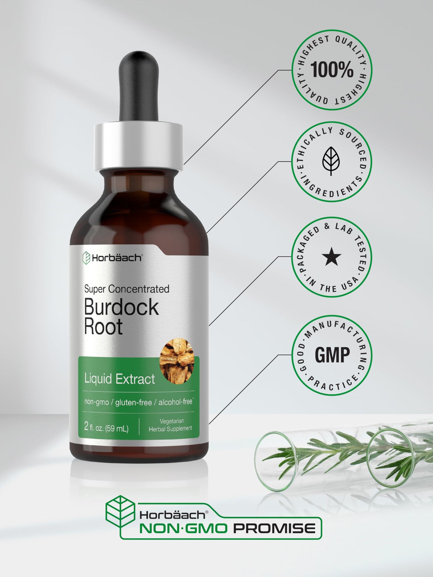 Horbäach Burdock Root Tincture | 2 fl oz | Super Concentrated Herb Extract | Vegetarian, Non-GMO, Glutren Free, Alcohol Free
