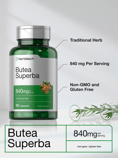 Horbäach Butea Superba Root 840mg | 90 Capsules | Male Performance | Non-GMO, Gluten-Free