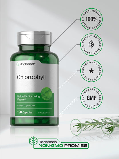 Horbäach Chlorophyll Capsules | 120 Count | Non-GMO & Gluten Free Supplement | Naturally-Occurring Pigment