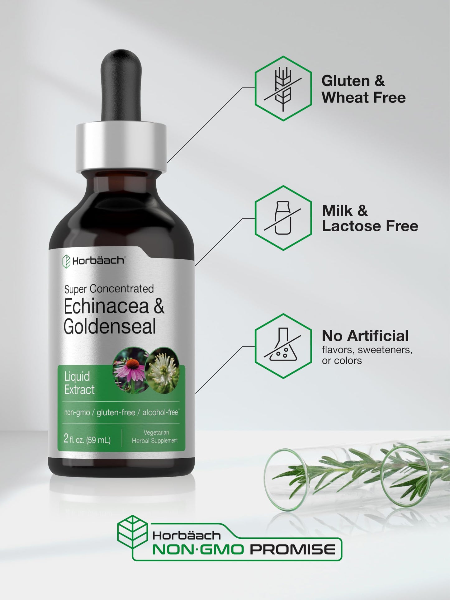 Horbaach Echinacea Goldenseal Liquid Tincture Drops – 2 oz, Alcohol-Free, Vegetarian & Non-GMO