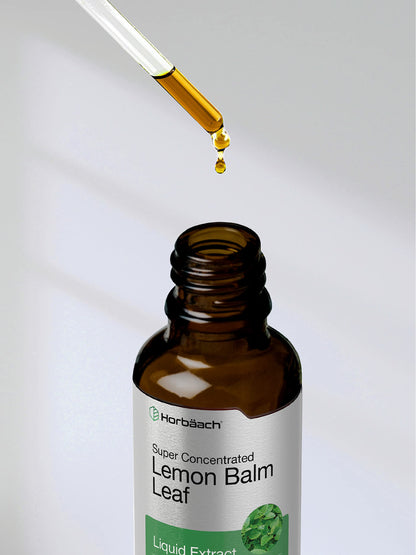 Horbäach Lemon Balm Tincture - 2 fl oz | Vegetarian Liquid Extract | Gluten Free & Non-GMO
