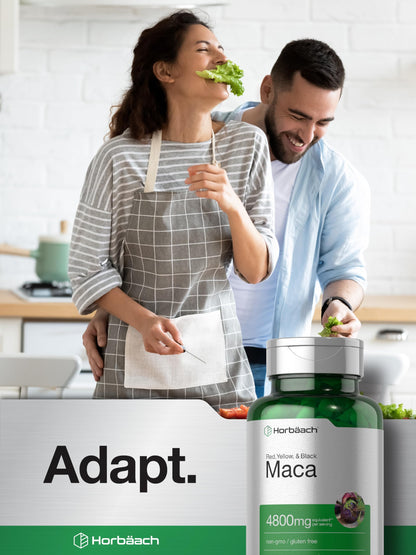 Horbäach Maca Root Capsules for Men and Women | 120 Pills | High Potency Extract | Non-GMO & Gluten Free