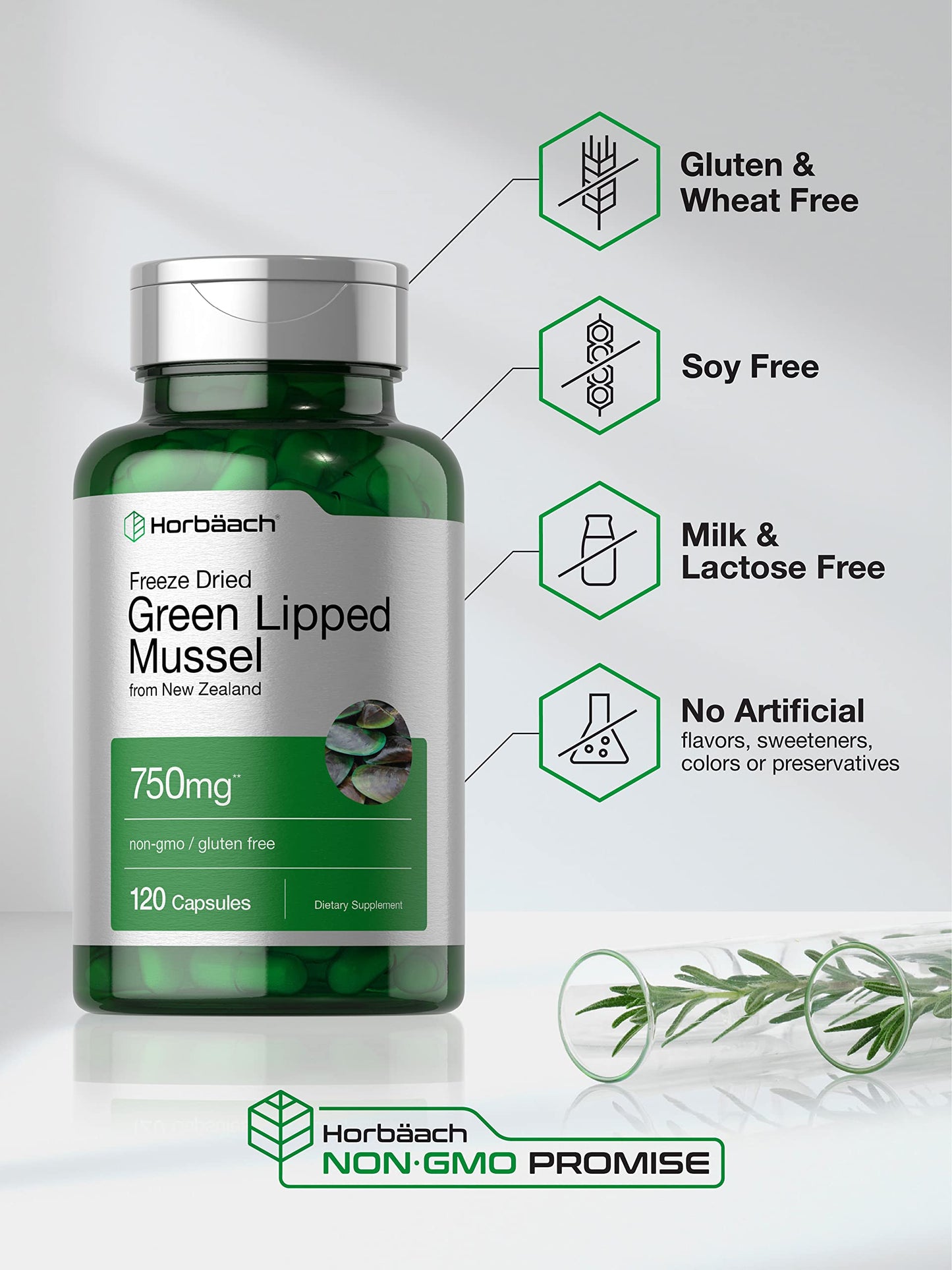Horbäach Green Lipped Mussel 750 mg – 120 Capsules | NZ Freeze-Dried Mussel Powder | Non-GMO & Gluten Free