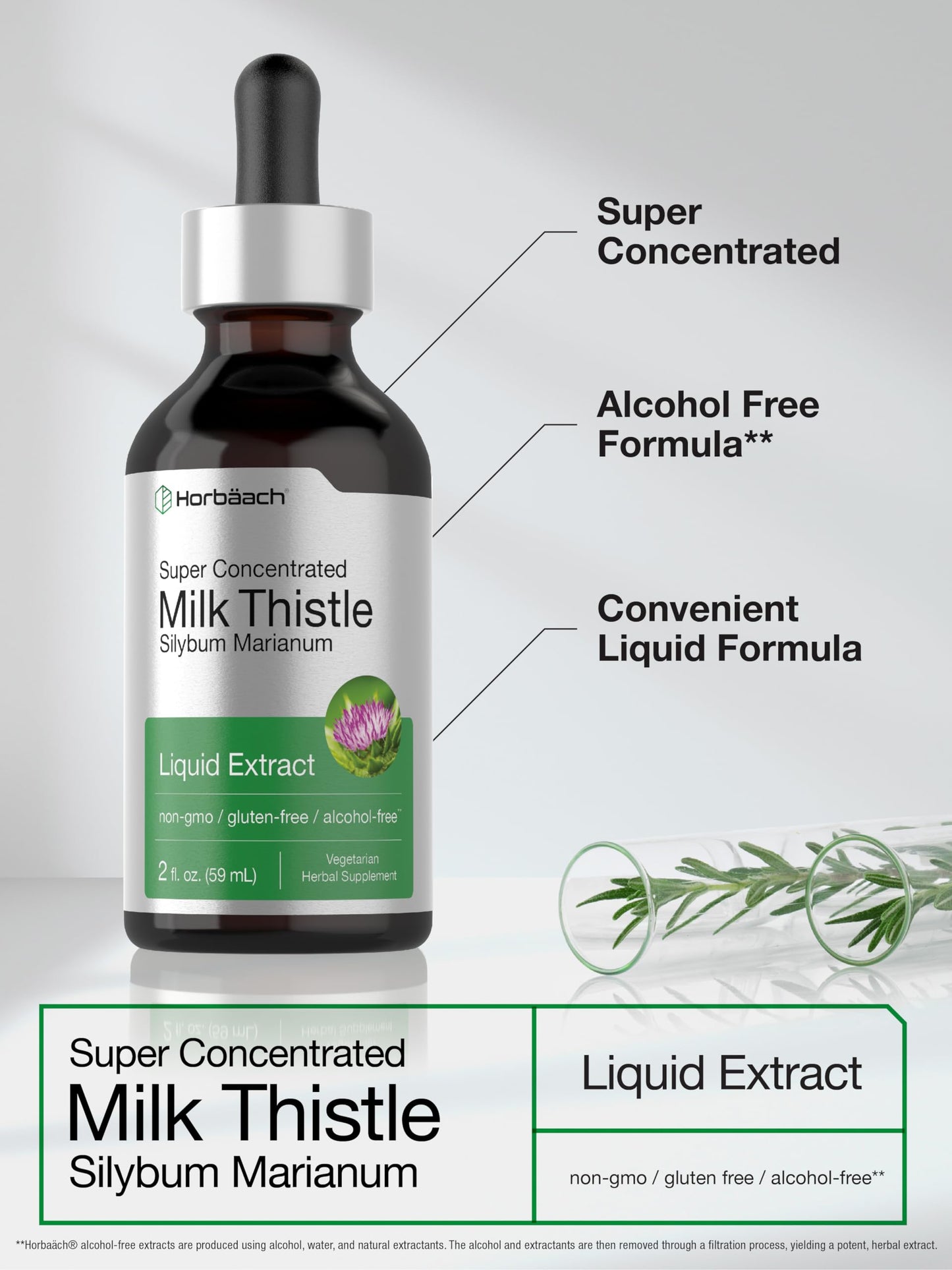Horbäach Milk Thistle Extract Liquid – 2 fl oz, Alcohol Free, Vegetarian, Non-GMO & Gluten Free