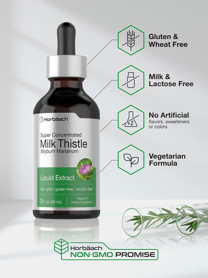 Horbäach Milk Thistle Extract Liquid – 2 fl oz, Alcohol Free, Vegetarian, Non-GMO & Gluten Free
