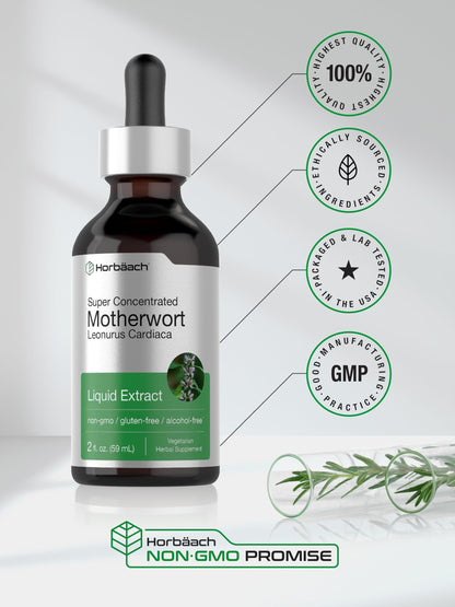 Horbaach Motherwort Tincture Herbal Extract - 2 fl oz - Alcohol Free - Non-GMO & Gluten Free