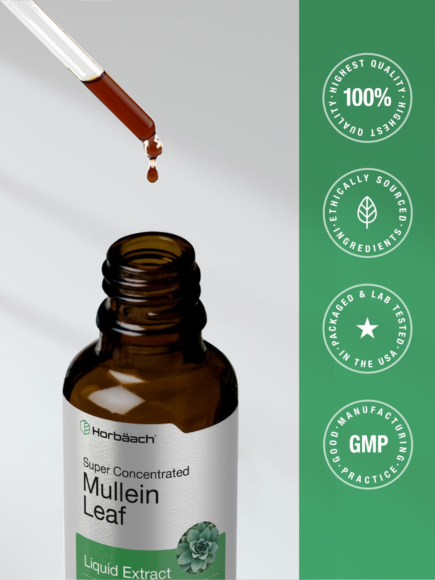 Horbäach Mullein Leaf Extract Drops – Alcohol Free, 2 fl oz | Vegetarian, Non-GMO & Gluten Free