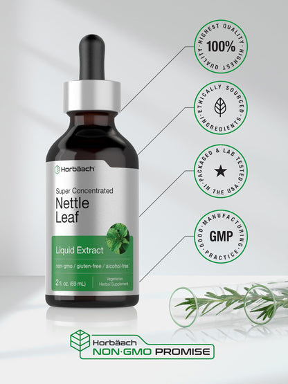 Horbäach Nettle Leaf Extract Drops – 2 oz, Alcohol-Free, Non-GMO