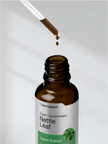 Horbäach Nettle Leaf Extract Drops – 2 oz, Alcohol-Free, Non-GMO