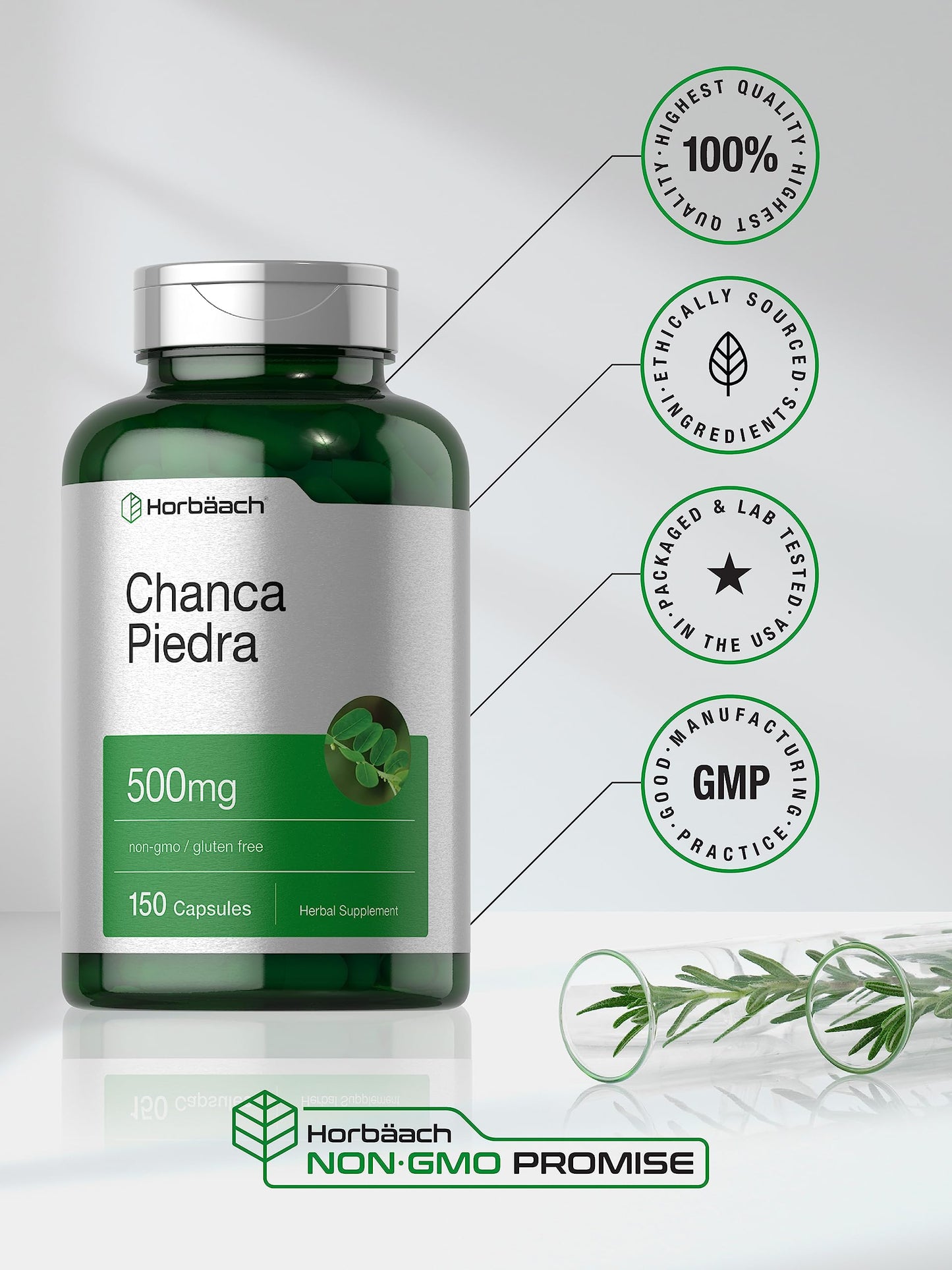 Horbäach Chanca Piedra Capsules 500mg – 150 Count – Non-GMO & Gluten Free