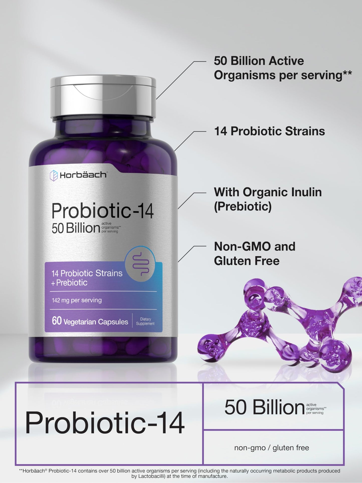 Horbaach Probiotics for Women and Men – 60 Capsules | 50 Billion Active Organisms | 14 Strains + Prebiotic | Non-GMO & Gluten Free
