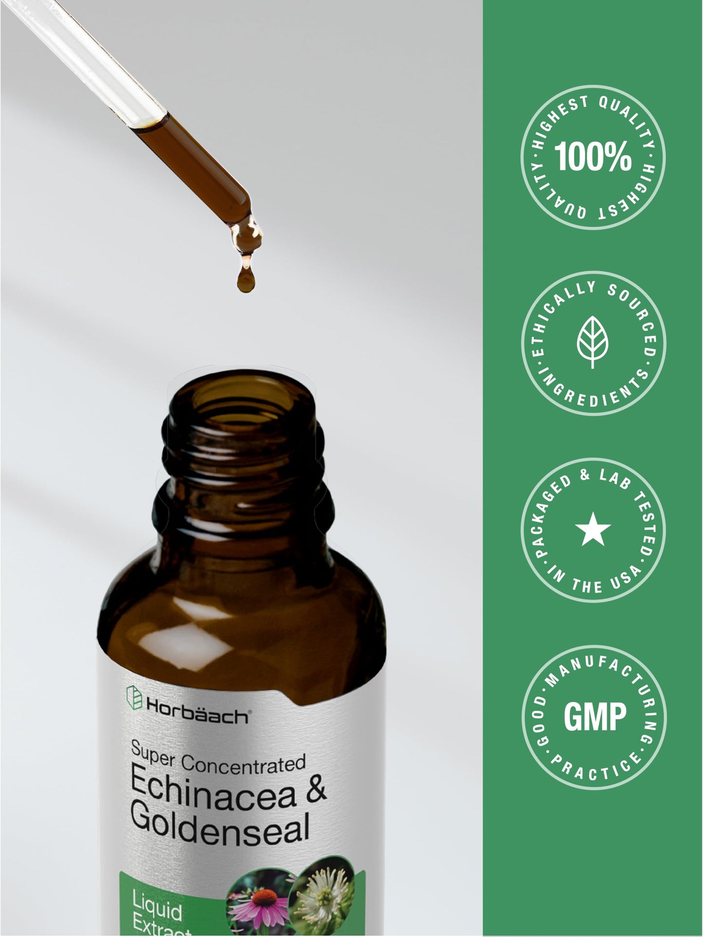Horbaach Echinacea Goldenseal Liquid Tincture Drops – 2 oz, Alcohol-Free, Vegetarian & Non-GMO