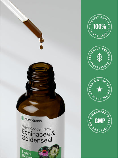 Horbaach Echinacea Goldenseal Liquid Tincture Drops – 2 oz, Alcohol-Free, Vegetarian & Non-GMO