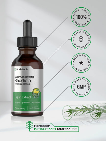 Horbaach Rhodiola Rosea Supplement Tincture - 2 fl oz | Alcohol-Free Extract | Vegetarian, Non-GMO, Gluten Free