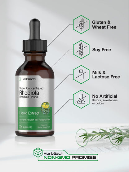 Horbaach Rhodiola Rosea Supplement Tincture - 2 fl oz | Alcohol-Free Extract | Vegetarian, Non-GMO, Gluten Free