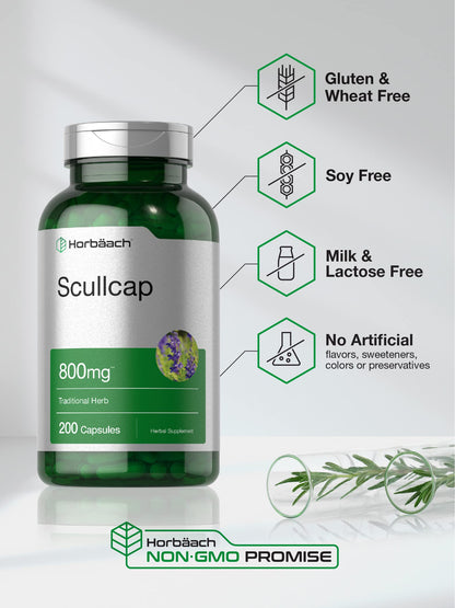 Horbäach Scullcap Capsules 800 mg | 200 Count | Non-GMO & Gluten Free | Scutellaria Baicalensis