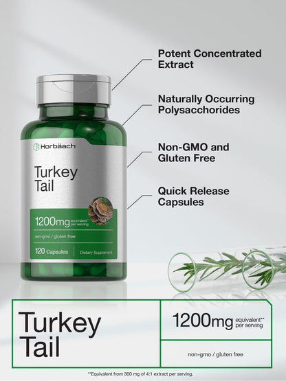 Horbäach Turkey Tail Mushroom Capsules - 1200mg, 120 Count | Non-GMO, Gluten Free