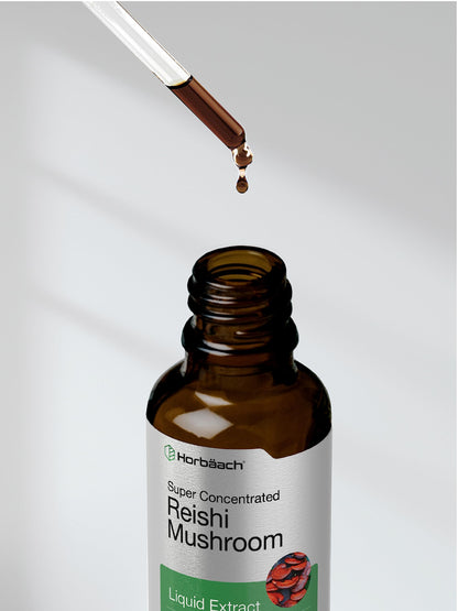 Horbäach Reishi Mushroom Extract Tincture – 2 Oz | Ganoderma Lucidum | Vegetarian, Alcohol Free, Non-GMO, Gluten Free