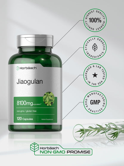 Horbäach Jiaogulan Capsules | 8100 mg per Serving | 120 Count | Gynostemma Pentaphyllum | Non-GMO, Gluten Free