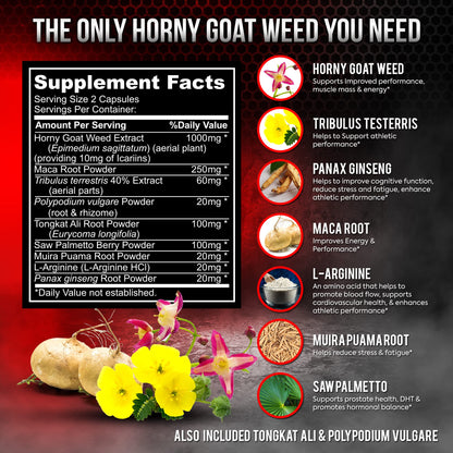 DR. MARTIN'S NUTRITION Super Strength Horny Goat Weed 1590mg – 240 Capsules (Pack of 2)