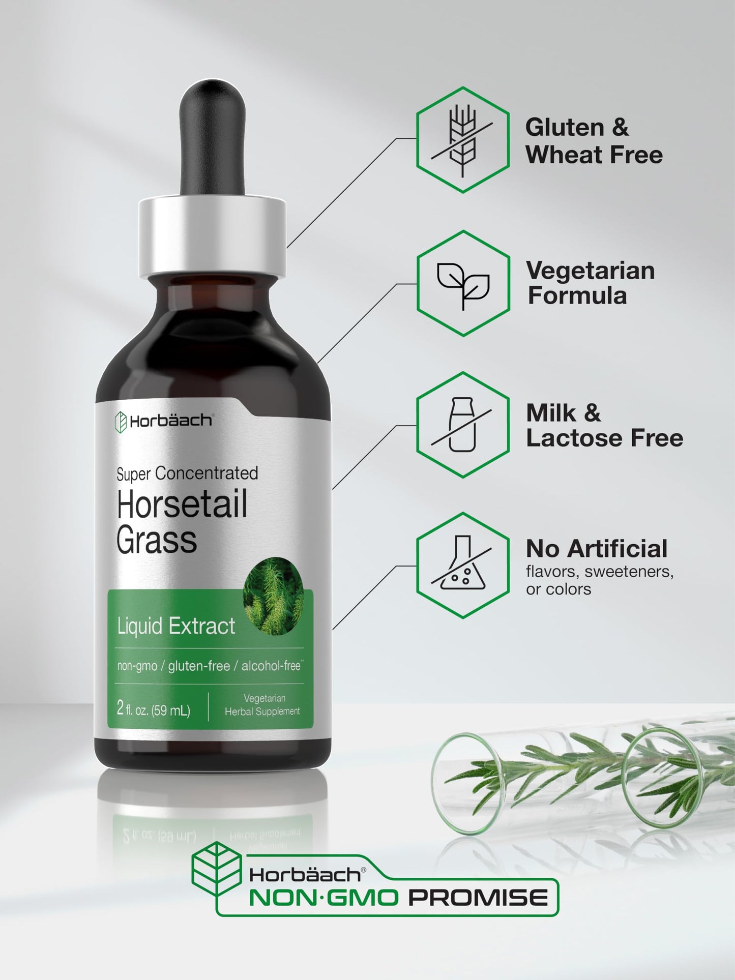 Horbaach Horsetail Liquid Extract - Alcohol Free, Gluten Free, Non-GMO | 2 fl oz
