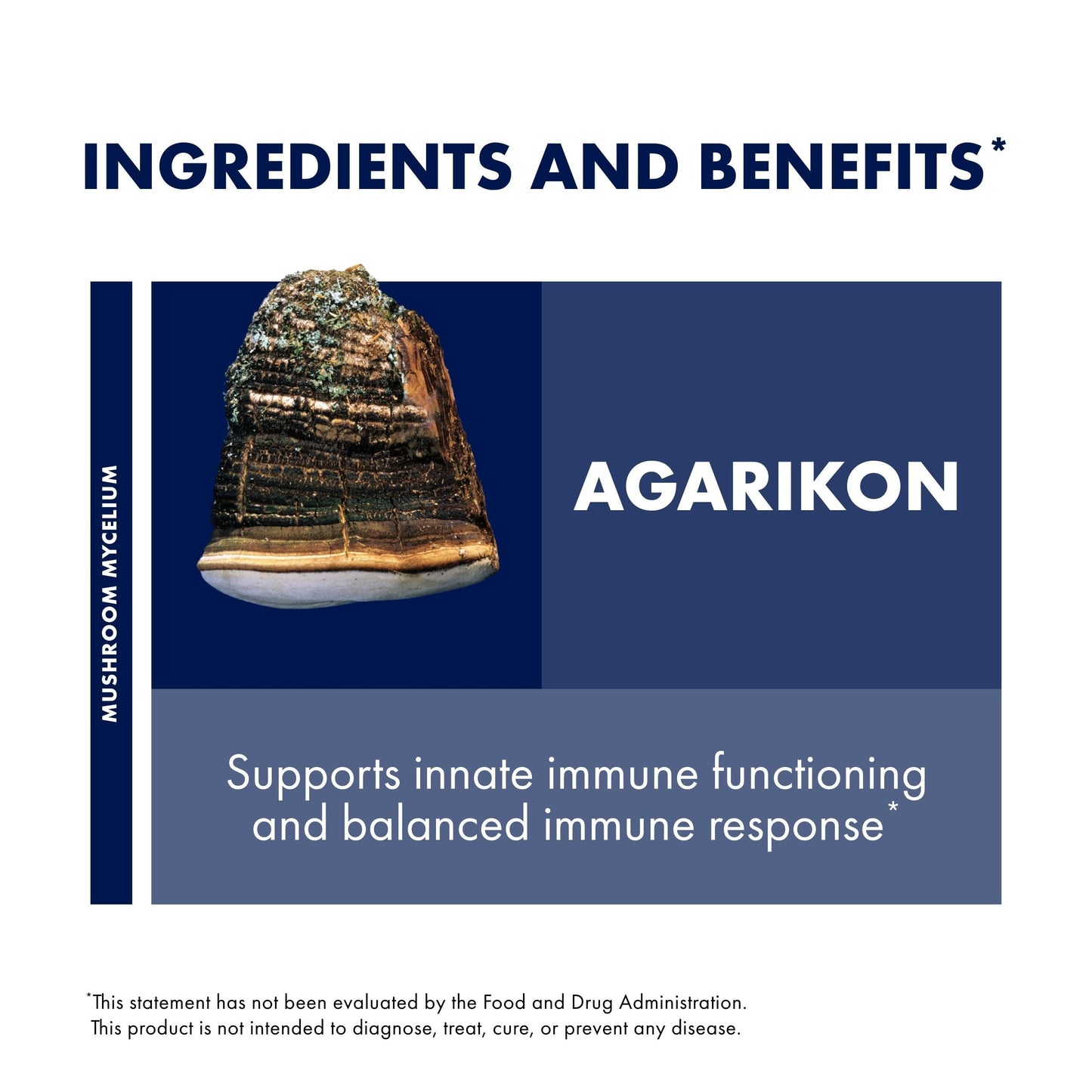 Host Defense Agarikon Capsules – Immune Support Mushroom Supplement – 120 Capsules
