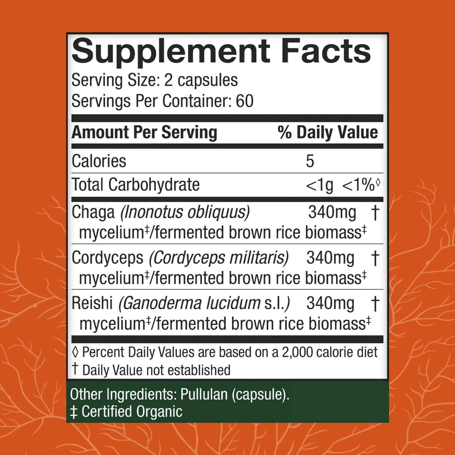 Host Defense Breathe Capsules – Immune & Respiratory Support Mushroom Supplement with Chaga, Reishi & Cordyceps – 120 Capsules