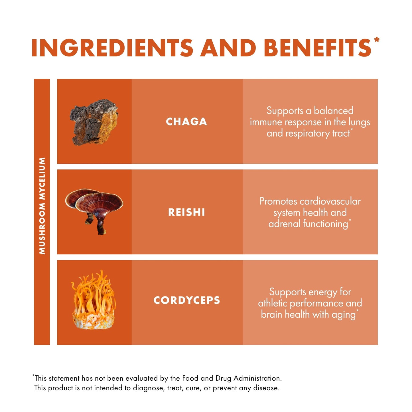 Host Defense Breathe Capsules – Immune & Respiratory Support Mushroom Supplement with Chaga, Reishi & Cordyceps – 120 Capsules