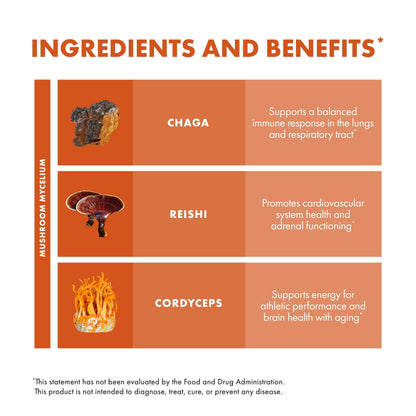 Host Defense Breathe Capsules – Immune & Respiratory Support Mushroom Supplement with Chaga, Reishi & Cordyceps – 120 Capsules