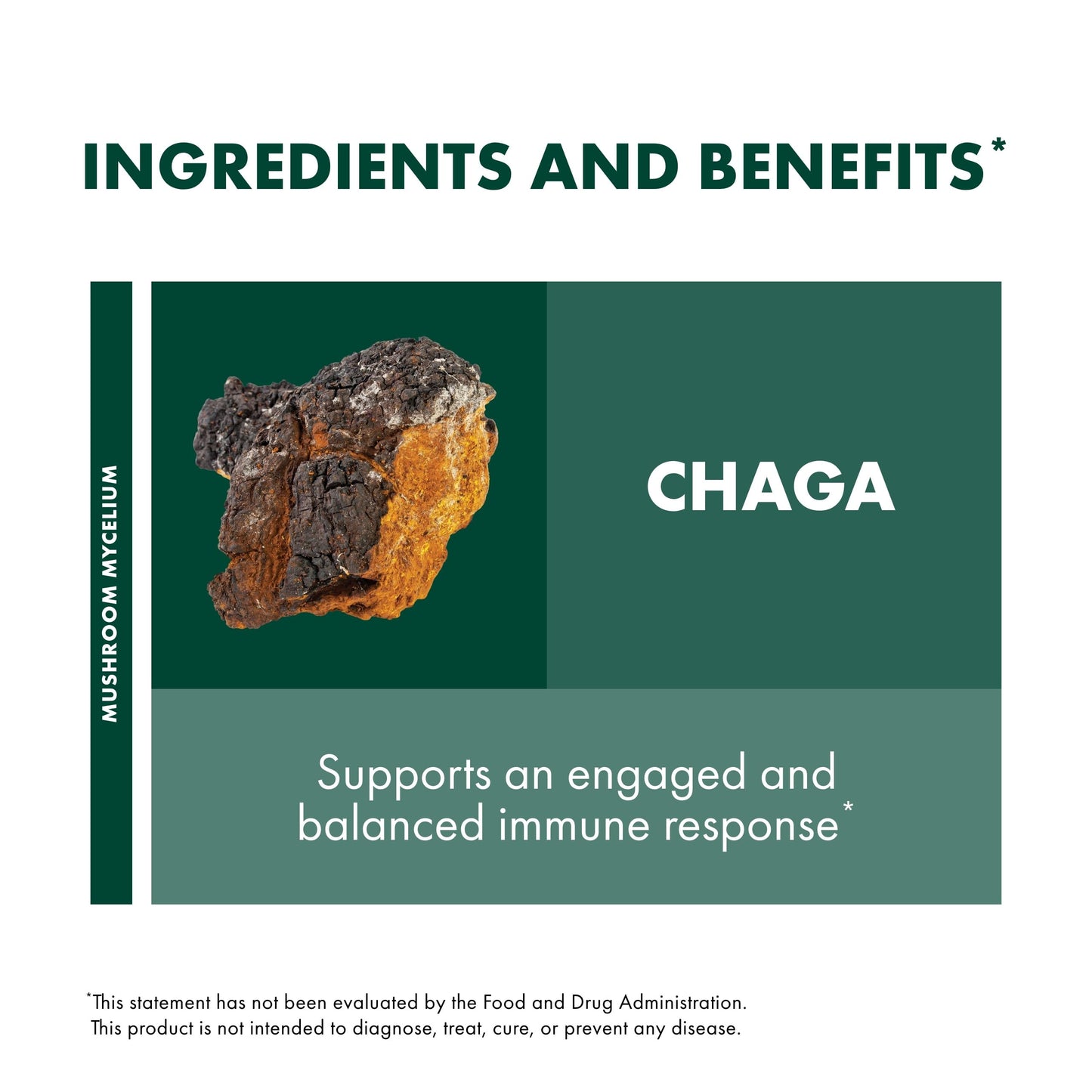 Host Defense Chaga Capsules | Immune Support & Antioxidant Mushroom Supplement - 120 Capsules