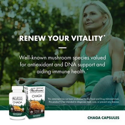 Host Defense Chaga Capsules | Immune Support & Antioxidant Mushroom Supplement - 120 Capsules