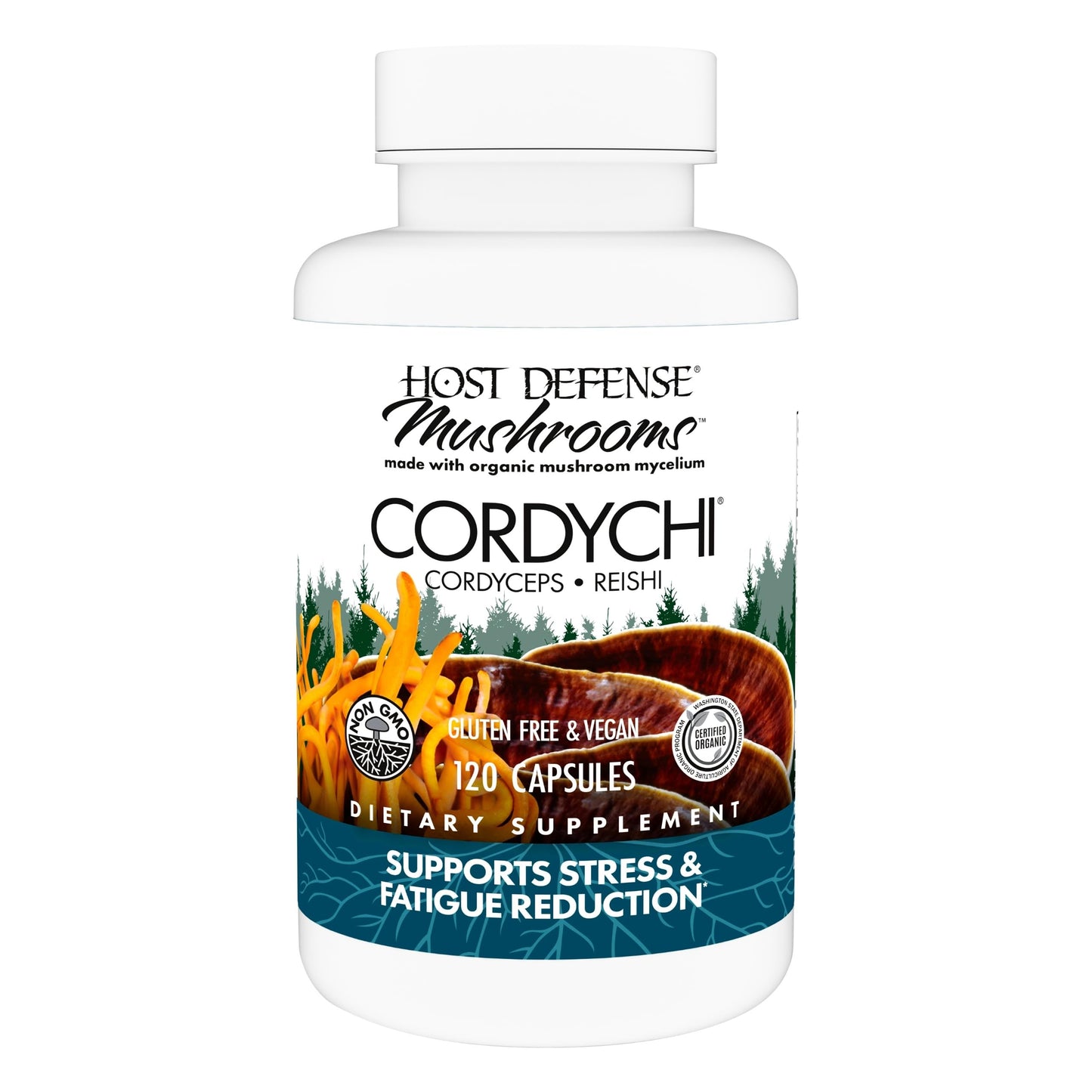 Host Defense CordyChi Capsules – Cordyceps & Reishi for Energy & Immune Support | 120 Capsules