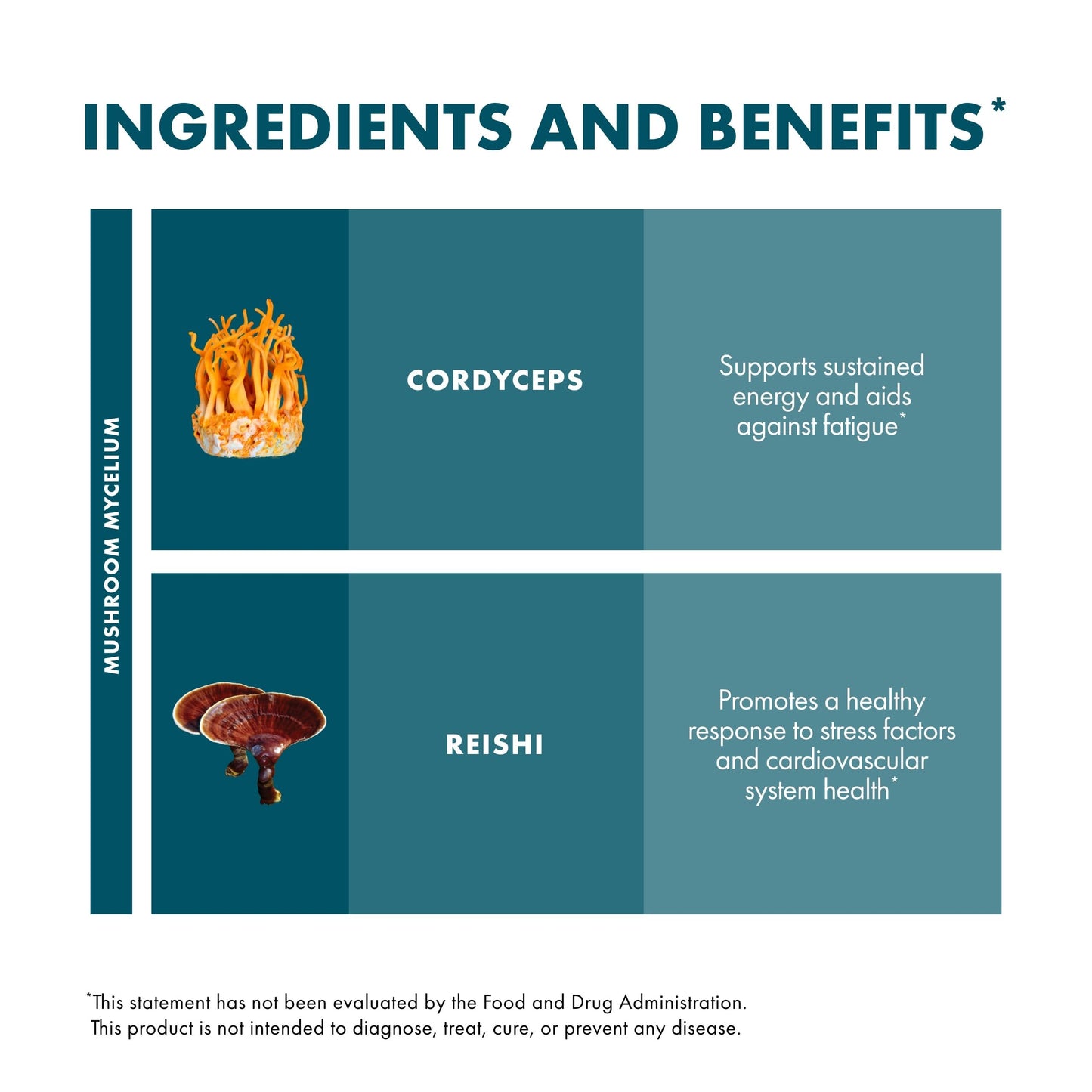 Host Defense CordyChi Capsules – Cordyceps & Reishi for Energy & Immune Support | 120 Capsules