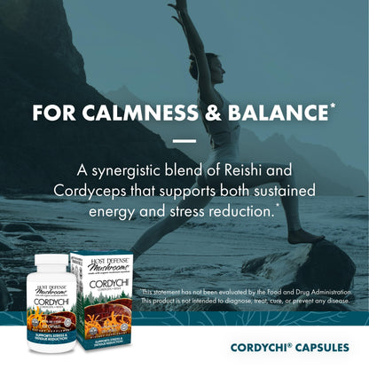 Host Defense CordyChi Capsules – Cordyceps & Reishi for Energy & Immune Support | 120 Capsules